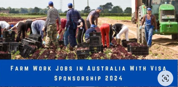 Farm Workers in Australia with Visa Sponsorship 2024