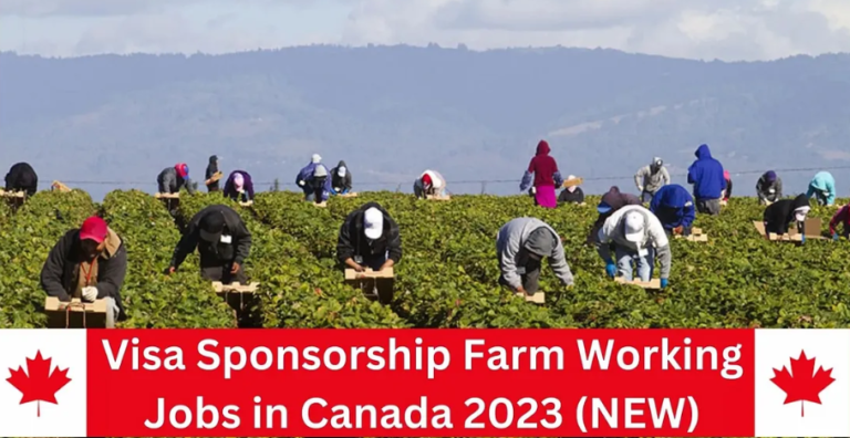 Farm Workers in Canada with Visa Sponsorship