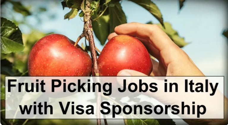 FRUIT PICKING AND PACKING JOBS IN ITALY: VISA SPONSORSHIP