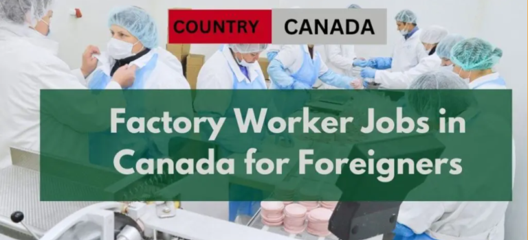 Factory workers job in Toronto 2024