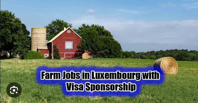 Dairy Farm Worker Jobs in Luxembourg 2024