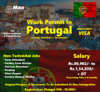 ASSISTANT JOB IN PORTUGAL WITH VISA SPONSORSHIP