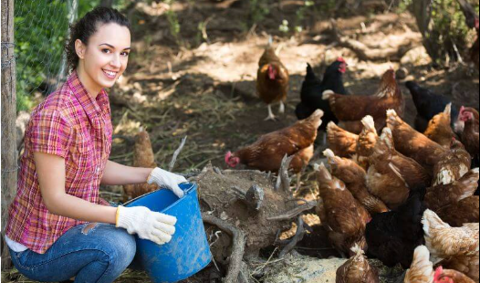 Farm Workers Jobs in USA