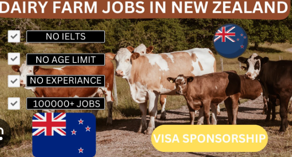 Dairy Farming Jobs in New Zealand
