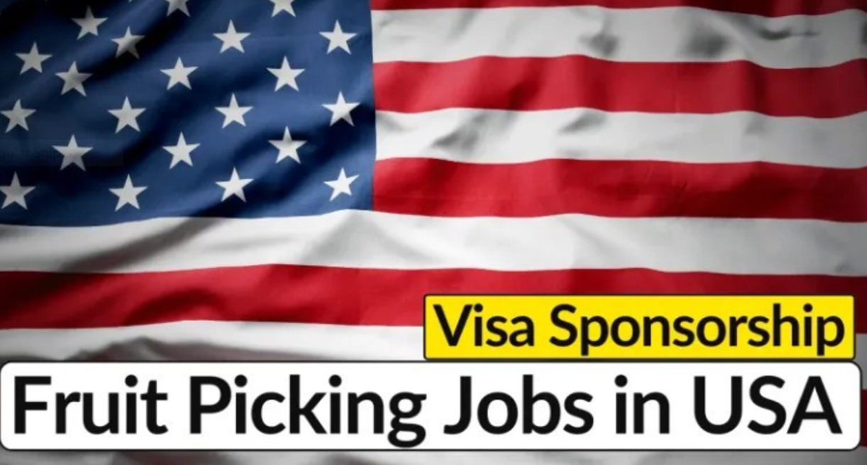 Fruit Picking Jobs in the USA with Visa Sponsorship