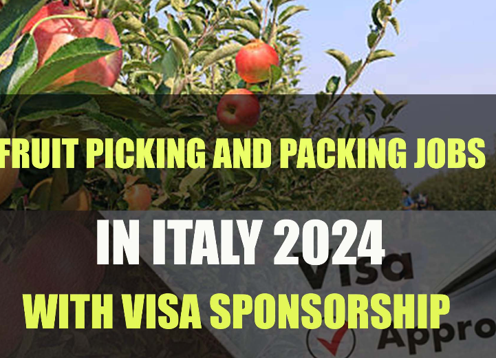 Fruit Picking and Packing Jobs in Italy with Visa Sponsorship