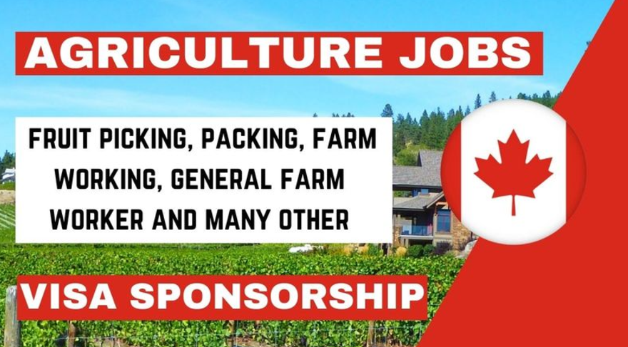 Farm Worker Jobs in Canada